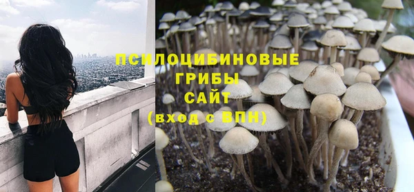 синтетический гашиш Бородино