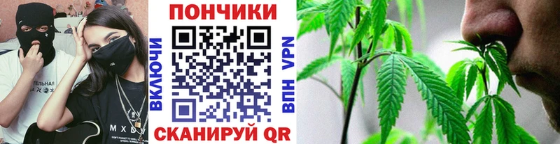 магазин продажи наркотиков  Кириллов  МАРИХУАНА семена 